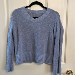 Everlane Baby Blue Knit Vneck Sweater